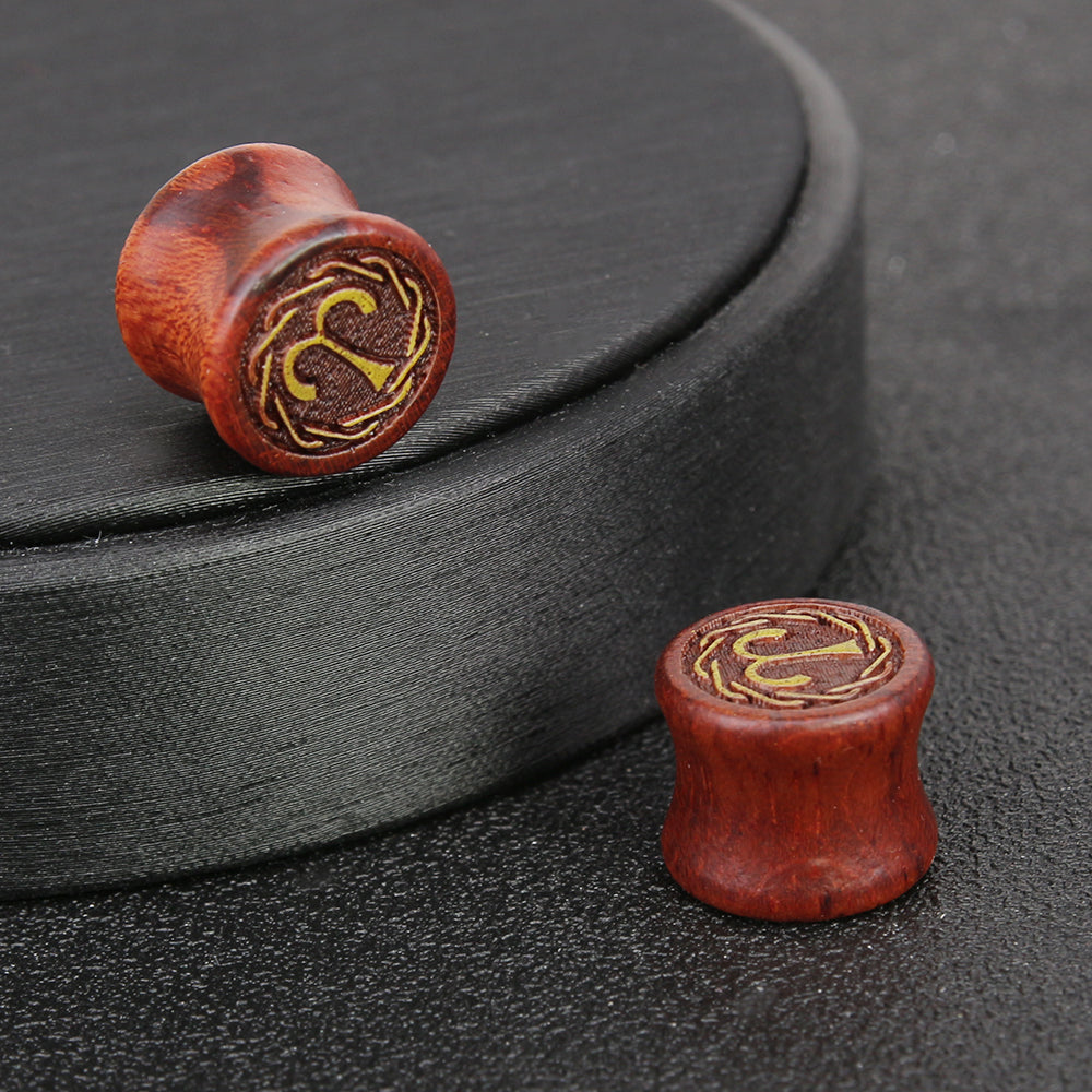 tunnels and plugs for ears